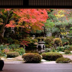 Turn Into The Noise - Patrick Watson