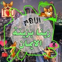 محمد حلمى