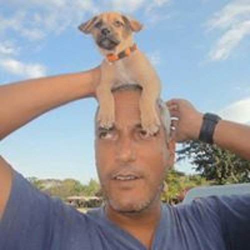 Paulo Pinto Machado’s avatar