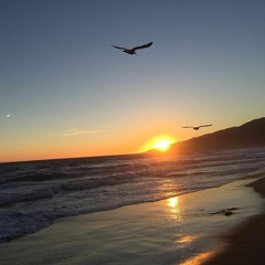 January Sunshine