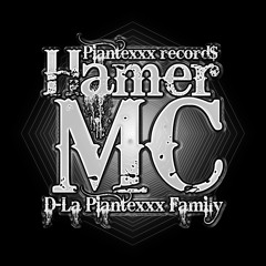 HAMERMCMARLEY