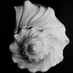Polymazma