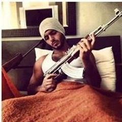 محمد المر
