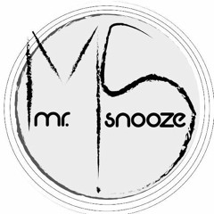 Mr.Snooze