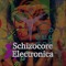 Schizocore Electronica