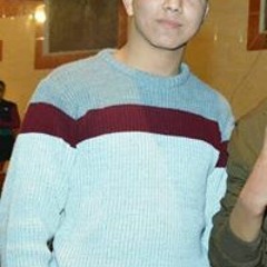 mahmoud awed