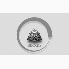 Skogis