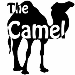 thecamel