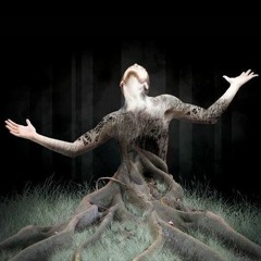 b2treeoflife