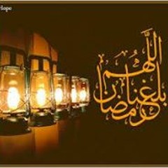 شيعتنا . ياسين التهامي.