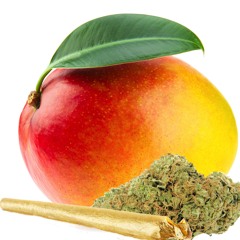 Mango OG