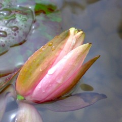 Lam Sanmu