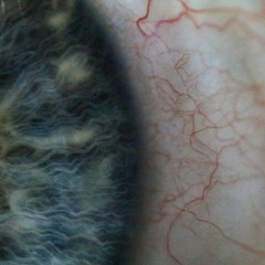 ƤҤṑŋṓn_ⱢƎƎ₵Ҥ