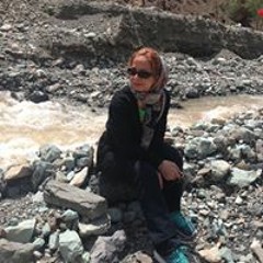 n.goharirad@yahoo.com