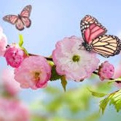 SpringLover