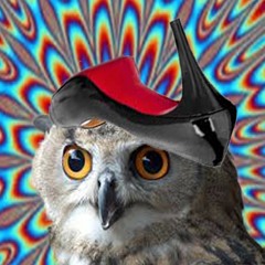 Dj Hibou & Dj Loulouboutin