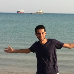 Ahmed Abu Basha