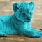 Brian_The_Lion