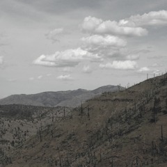 stratum