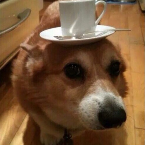 {EAR RAPE} Ty Dolla $ign - Blasé Ft. Future & Rae Sremmurd