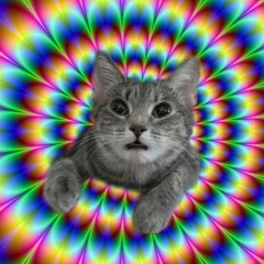 CatsOnAcid23