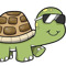 Funny Gaming Turtle