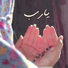 Taghreed Saeed