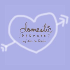 domesticdispute