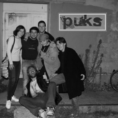 Puks