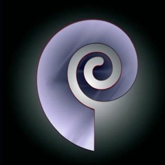 Vortexear