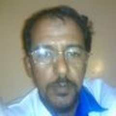 Mohamed Abulmaaly
