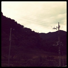 漂うフェリシティー(gt.)