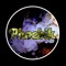 PHOEBIK