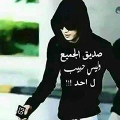 محمد المصري