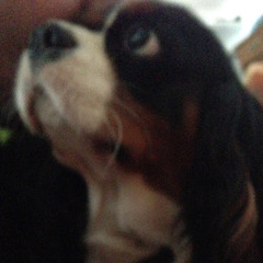 Thin Old Sun (sloppy extract from Fat Old Sun by Pink Floyd