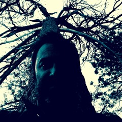 Giant Ants _Jeff Veal