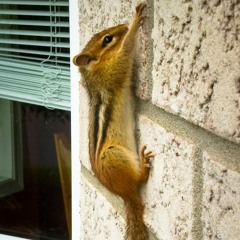 The Control Imperative