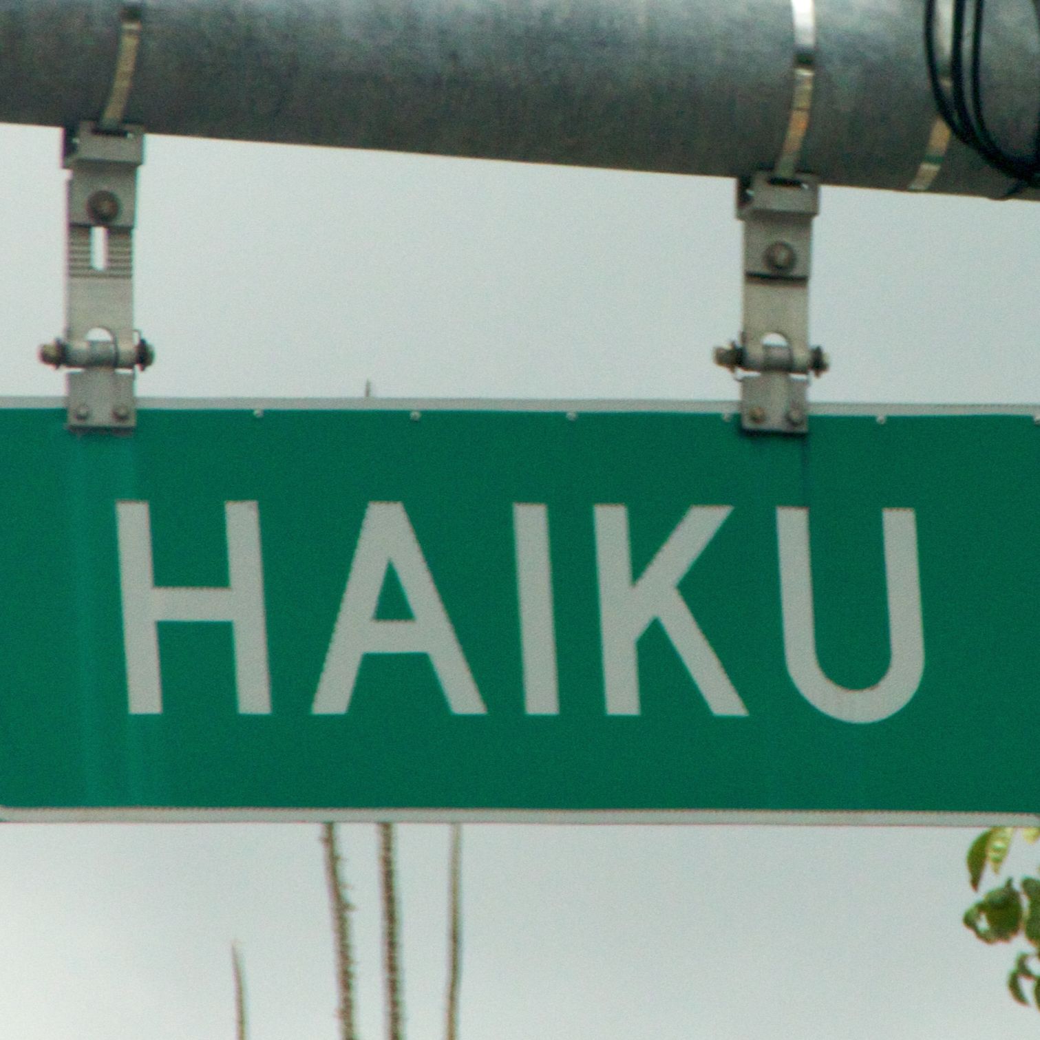 The Smiling Haiku