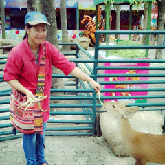 Cchanok B