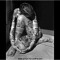 MisUnknown1
