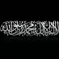 User 525203134