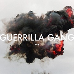 Guerrilla Gang