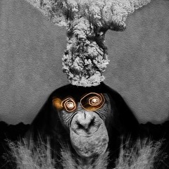 Dustin Chimp