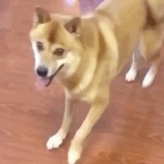 Savestate's Renoise Doodles