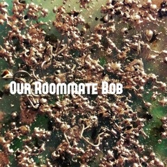 Our Roommate Bob