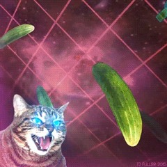Neko Power