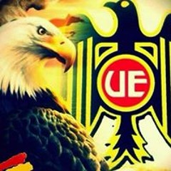 Seba Flores Rebolledo