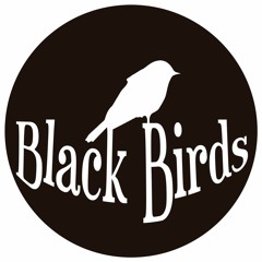 Black Birds Banda Dgo.
