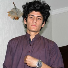 Hassan Raza
