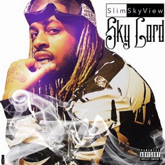 Slimskyview